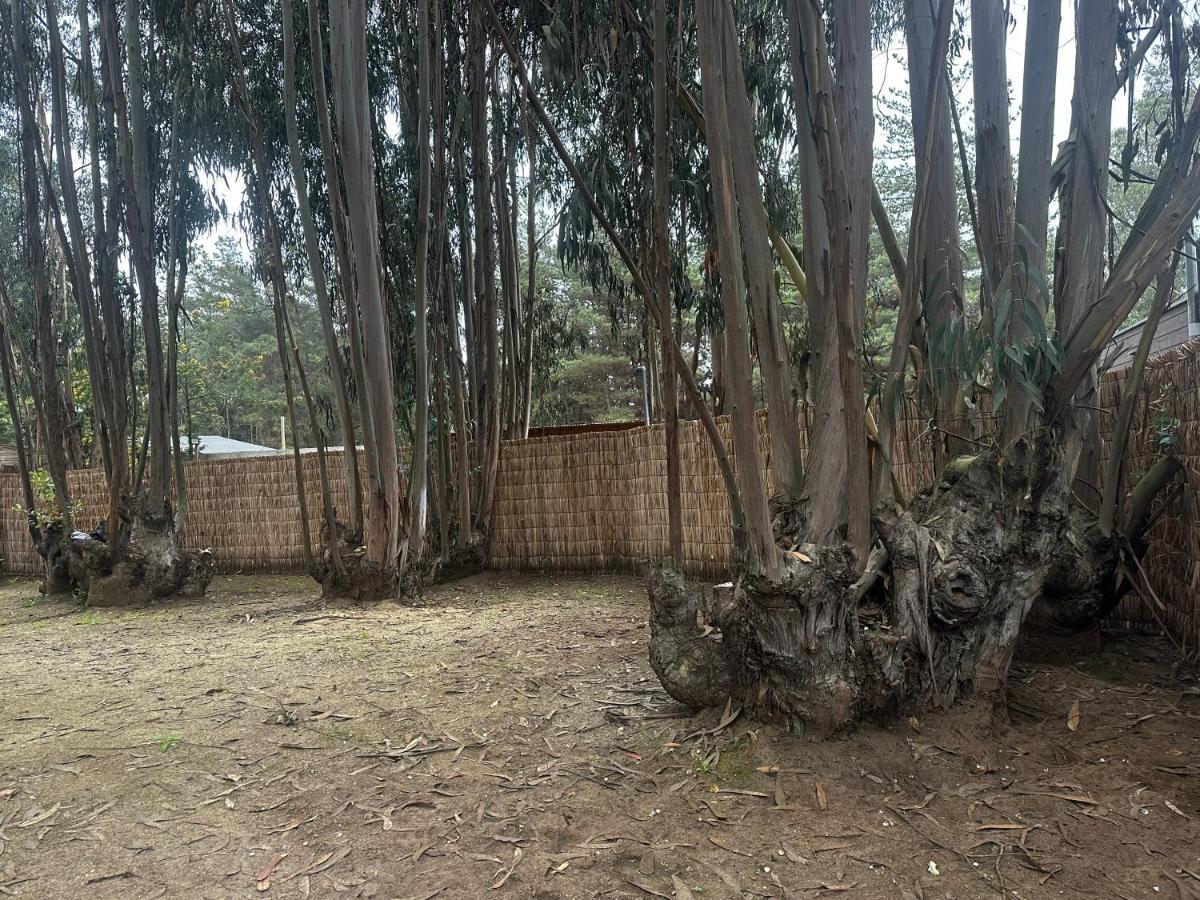 Hébergement de vacances Cabana Dona Flor Valparaíso
